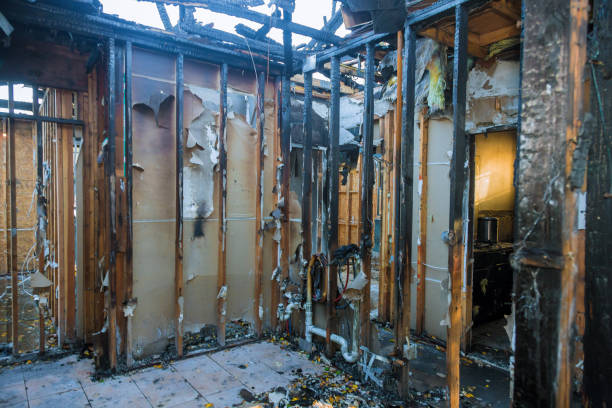 Professional Structural Rebuild technician working in Rising Sun, IN